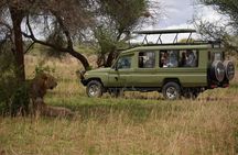 3 Day Private Safari to Serengeti and Ngorongoro Crater