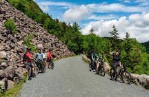 Guided E Bike Tour of Acadia National Park