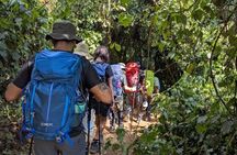 Kilimanjaro day hike tour marangu route