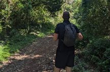 Scenic Hike on Kilimanjaro Machame Route Day Trip