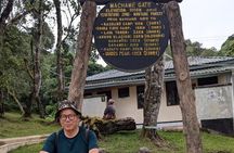 Scenic Hike on Kilimanjaro Machame Route Day Trip