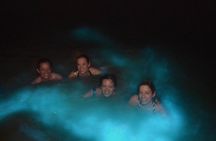 Luminous Lagoon Night Boat Tour in Jamaica