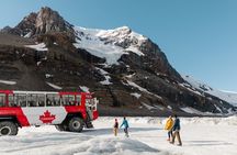 4-Day Banff, Lake Louise, Jasper, Icefield Packaged Tour