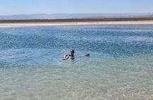 Tour of Cejar Lagoon and Eyes of the Salt Lake and Tebinquiche Lagoon