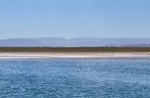 Tour of Cejar Lagoon and Eyes of the Salt Lake and Tebinquiche Lagoon