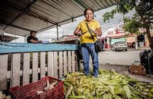Tortilla Trails Cancun Food Tour with 15+ Tastings