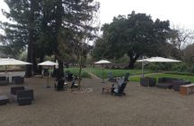 Luxury Sedan and SUV Wine Tour in Napa and Sonoma Valley