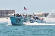Daytime Dolphin Cruise in Destin
