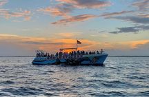 Sunset Dolphin Cruise in Destin