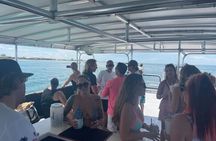 Dolphin Watch Cruise St. Pete Beach