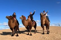 4 Days Tour in Chinggis Khan Statue and Terelj NPark