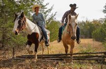 90 Minutes Private Horseback Ride Near Nashville