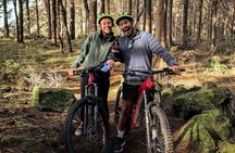 Explore the Waitangi MTB Park on Electric Bikes