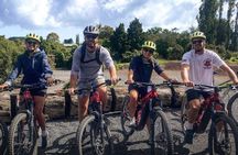 Explore the Waitangi MTB Park on Electric Bikes
