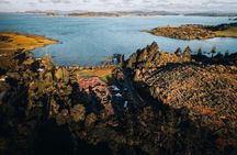 Explore the Waitangi MTB Park on Electric Bikes