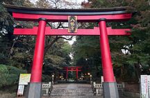 Private Tokyo Tea & Kimono: Use a National Treasure's Kettle
