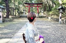 Private Tokyo Tea & Kimono: Use a National Treasure's Kettle