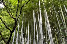Private Tokyo Tea & Kimono: Use a National Treasure's Kettle