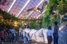 Half Day City Sightseeing Guided Tour with Gardens by the Bay