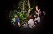 1-Hour Cairns Botanic Gardens Evening Family Experience