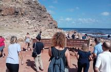 Cape town: Cape of Good Hope and sunset /afternoon tour