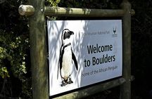 Cape town: Cape of Good Hope and sunset /afternoon tour