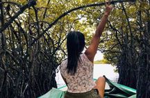 From Bentota/ Kalutara: Madu River Safari and Turtle Hatchery 