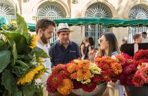 Luberon Market & Villages from Avignon