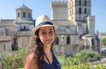 Avignon Walking Tour including Pope's Palace