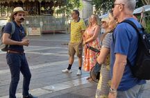 Avignon Walking Tour including Pope's Palace