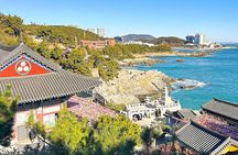 Authentic Busan Full-Day City Highlights Tour