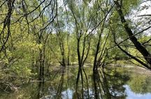 Devin Castle and Iron Curtain Half-Day Tour From Bratislava