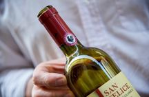 Authentic Florence Pasta-Making Class with Eating Europe