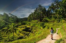 Ubud Private Tour to Tegenungan Ancient Temples and Rice Terraces