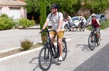 Full Day Ebike Tour in the Luberon Region from Avignon