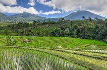 North Bali Private Tour Ulun Danu and Jatiluwih Rice Terraces