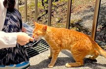 【Incl. Train Experience】Shifen & Houtong Cat Village & Jiufen 