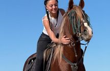 Scenic Horseback Adventure Along Essaouira’s Beaches