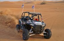 Red Sand Desert Safari Experience 