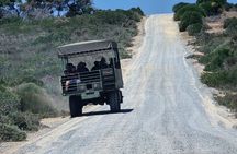 Buffelsfontein game reserve And Bird watching At West Coast Park