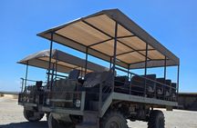 Buffelsfontein game reserve And Bird watching At West Coast Park