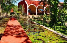 Merida Tour hacienda Mucuyche and Yunku with amazing cenotes