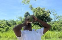 VIP Private Bob Marley Museum Experience– Montego Bay to Kingston