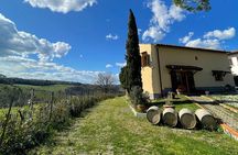 Hiking, picnic and foraging on the way + lunch at farm in chianti