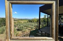 Hiking, picnic and foraging on the way + lunch at farm in chianti