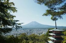 Mount Fuji Private Tour By Car With Pick Up From Tokyo
