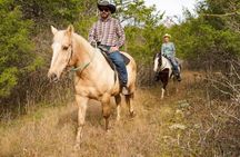 90 Minutes Private Horseback Ride Near Nashville
