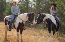 45 Minutes Trail Ride Near Nashville