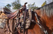 45 Minutes Trail Ride Near Nashville