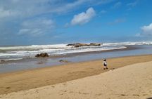 Day Trip To Essaouira From Marrakech